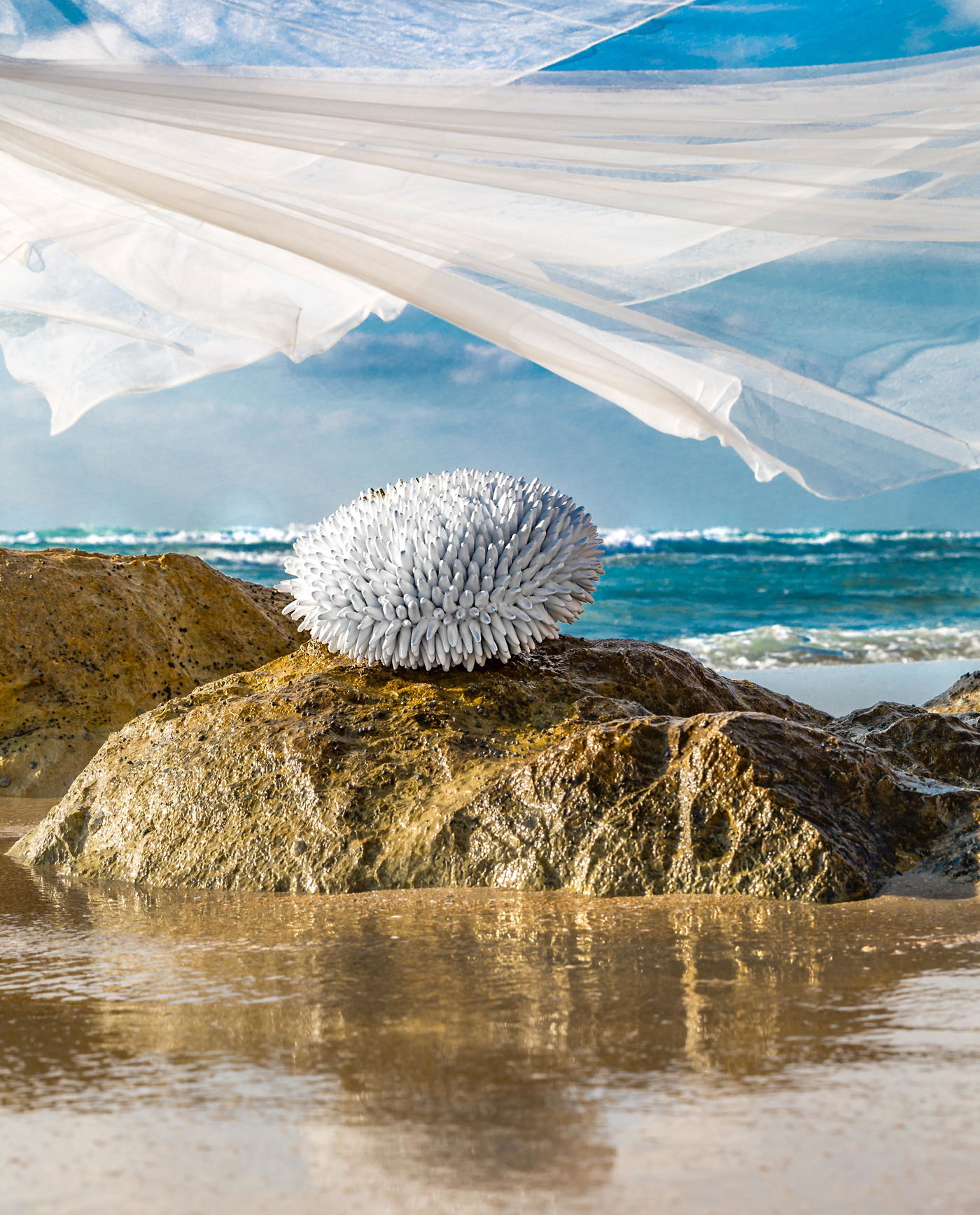 מעצבת ומייקרית: איריס ורשבסקי