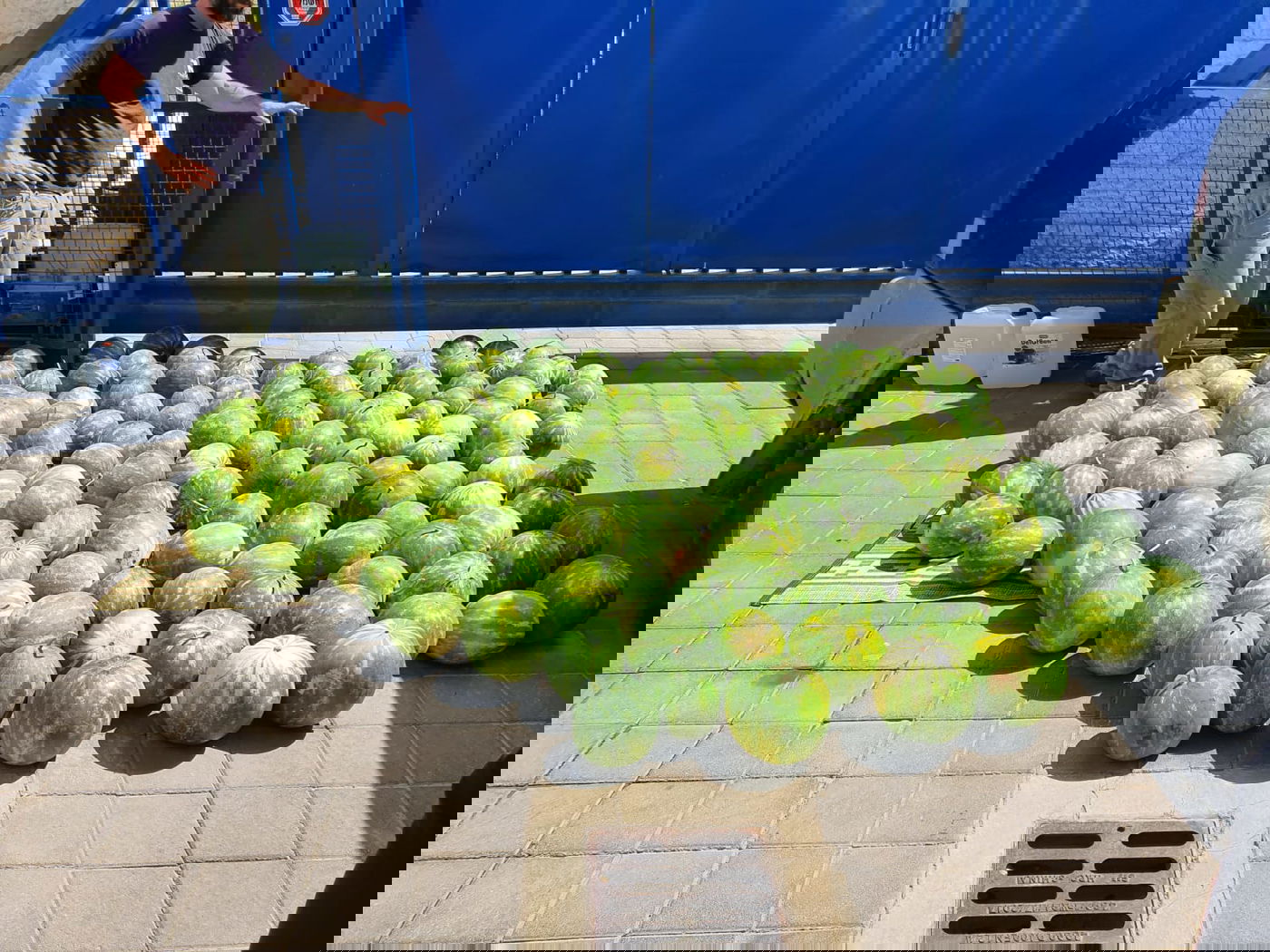 אב ובנו גנבו טון אבטיחים מטירת צבי ונתפסו