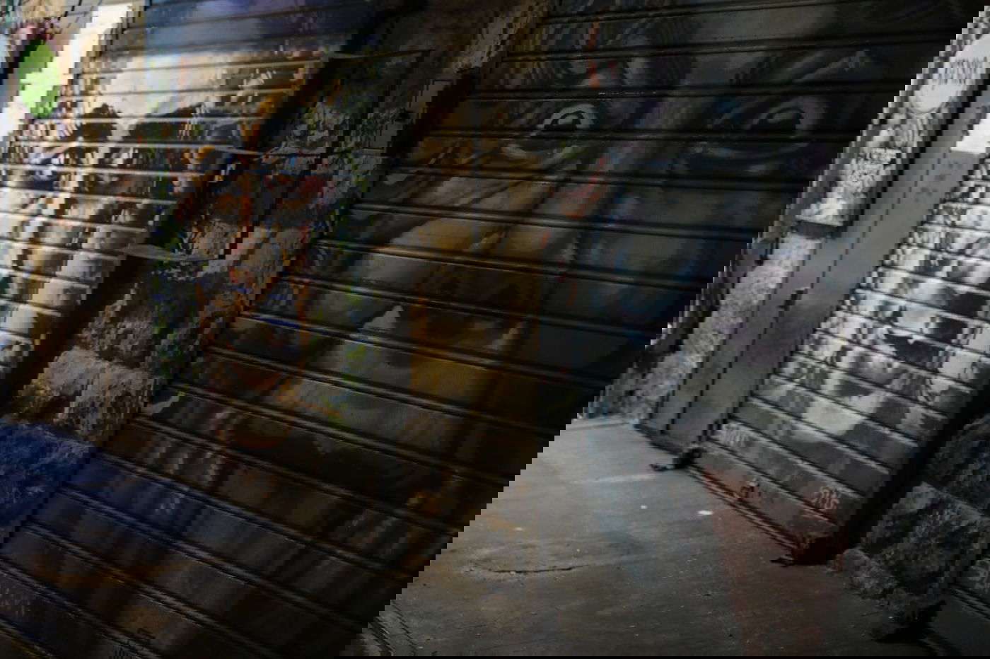 כך נראה 'מחנה יהודה' לפנות בוקר • גלריה