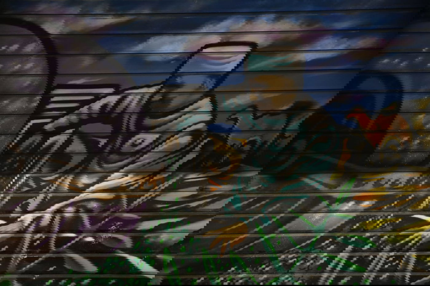 כך נראה 'מחנה יהודה' לפנות בוקר • גלריה