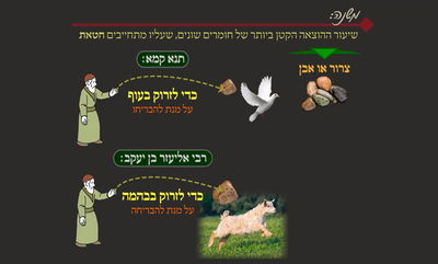 הדף היומי: מסכת שבת, דף פ"א • סיכום והמחשה