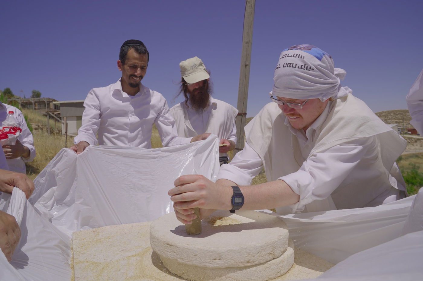 אברכים קצרו חיטים והכינו את "שתי הלחם"