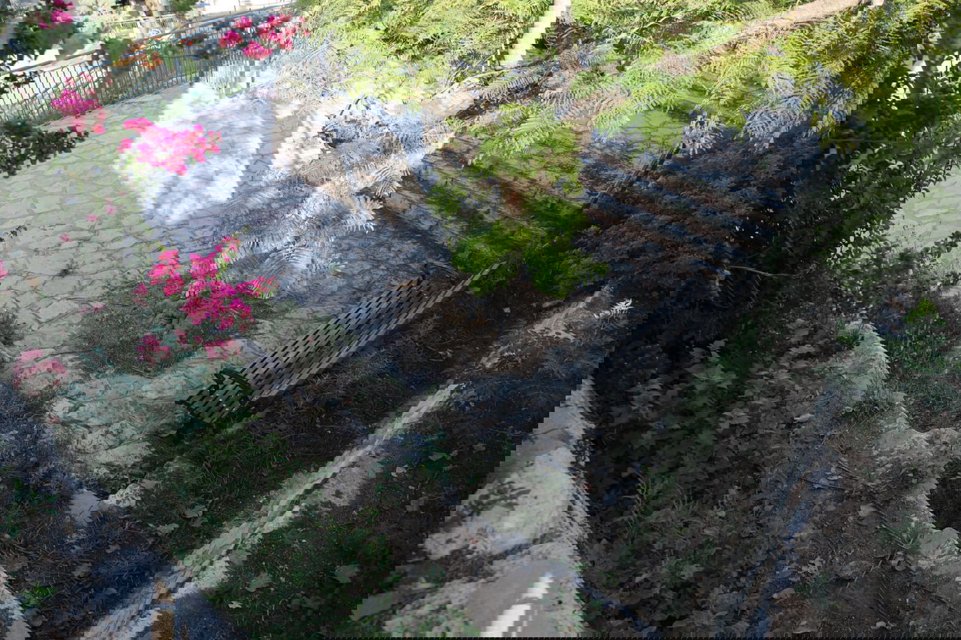 בין בני ברק לרמת גן: "טיול קורונה בהר הבנים"