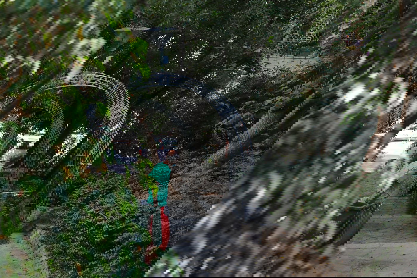 בין בני ברק לרמת גן: "טיול קורונה בהר הבנים"