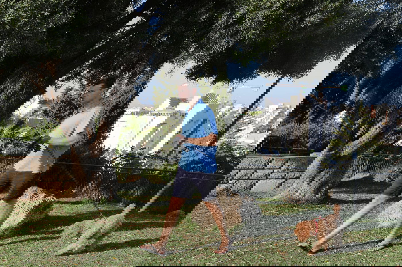 בין בני ברק לרמת גן: "טיול קורונה בהר הבנים"