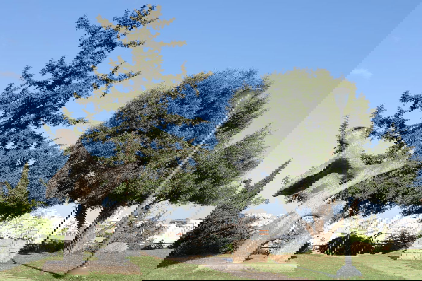 בין בני ברק לרמת גן: "טיול קורונה בהר הבנים"