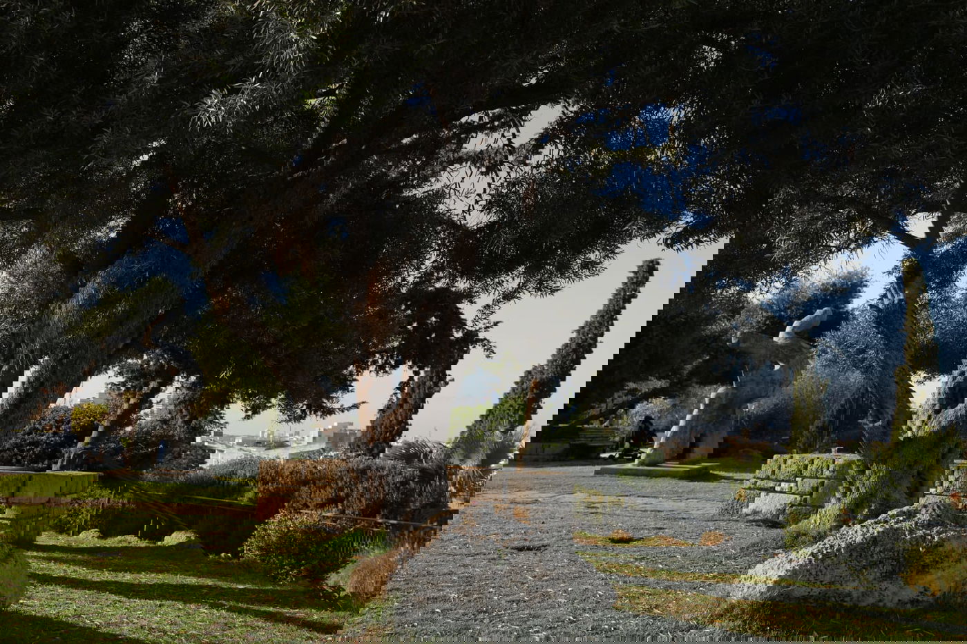 בין בני ברק לרמת גן: "טיול קורונה בהר הבנים"