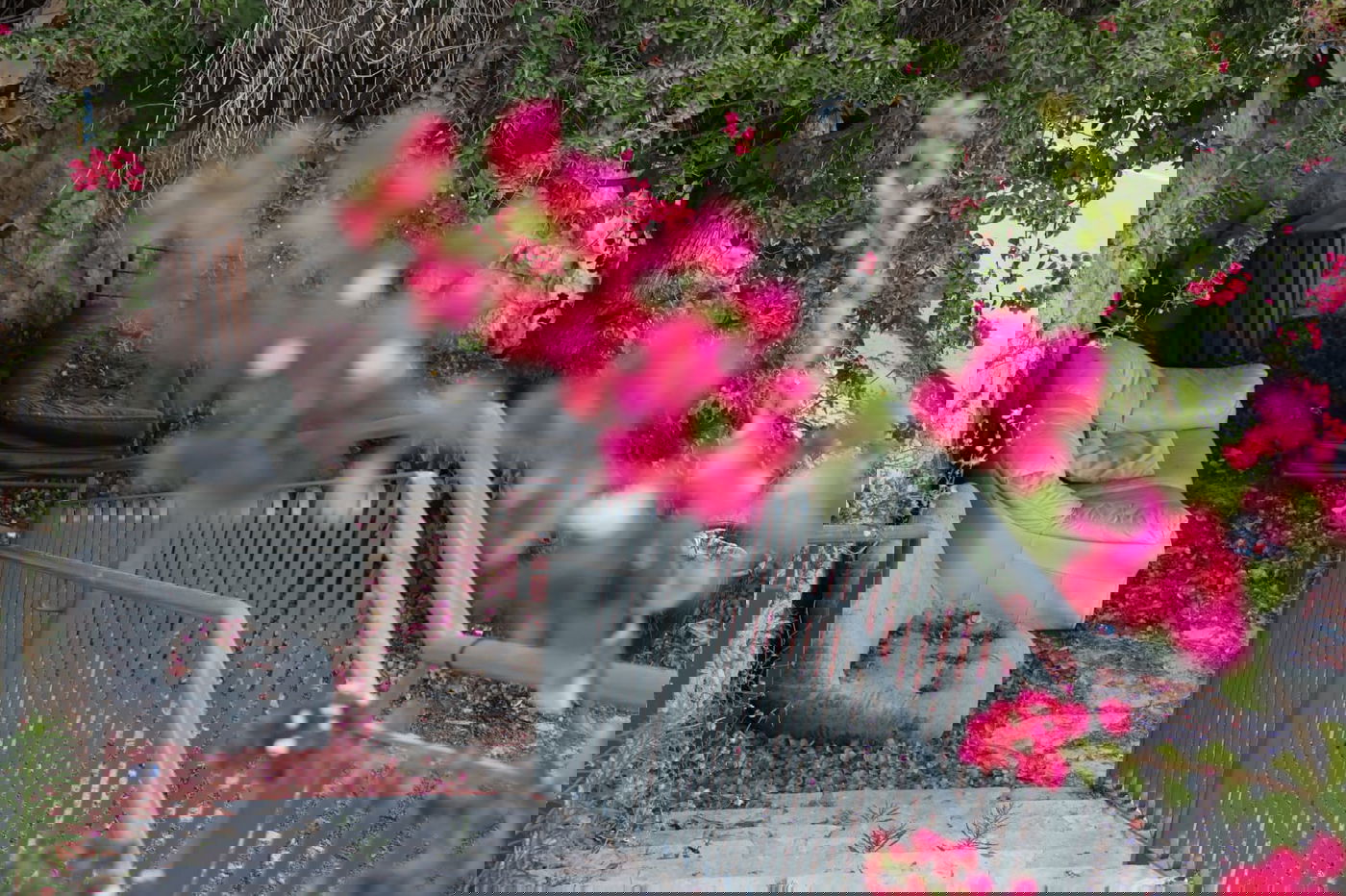 בין בני ברק לרמת גן: "טיול קורונה בהר הבנים"