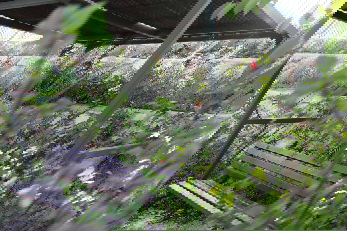 בין בני ברק לרמת גן: "טיול קורונה בהר הבנים"