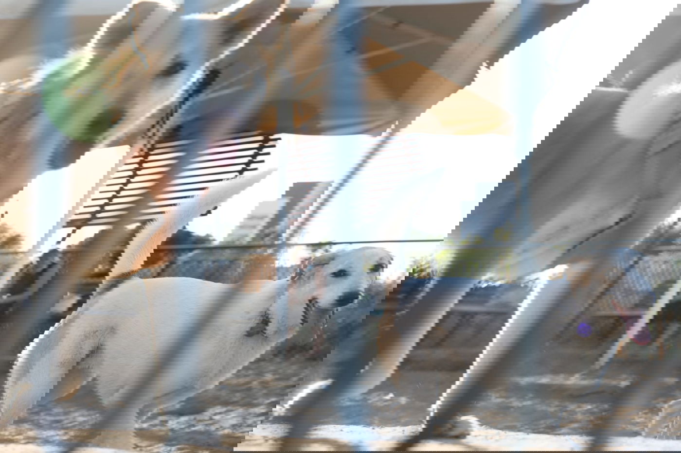 בין בני ברק לרמת גן: "טיול קורונה בהר הבנים"