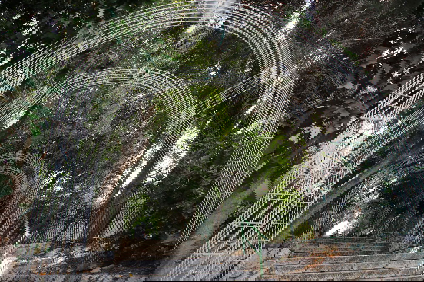 בין בני ברק לרמת גן: "טיול קורונה בהר הבנים"