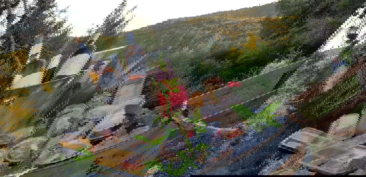 החברים הפתיעו את פיני איינהורן לכבוד הלידה