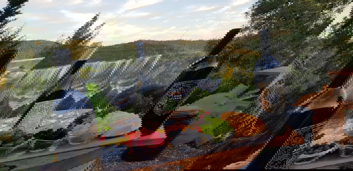 החברים הפתיעו את פיני איינהורן לכבוד הלידה