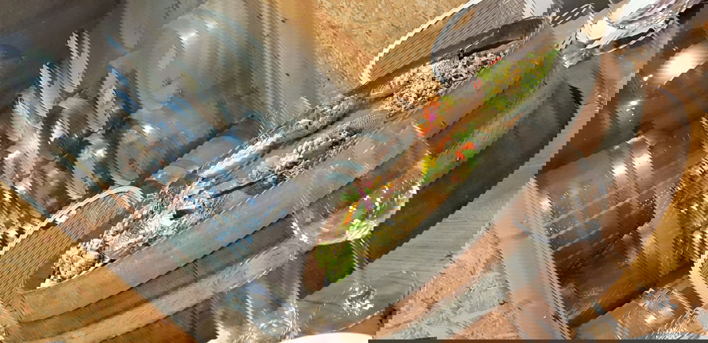 החברים הפתיעו את פיני איינהורן לכבוד הלידה