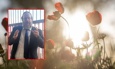 מקשטים את הבית לחג? היזהרו מחרקים • צפו