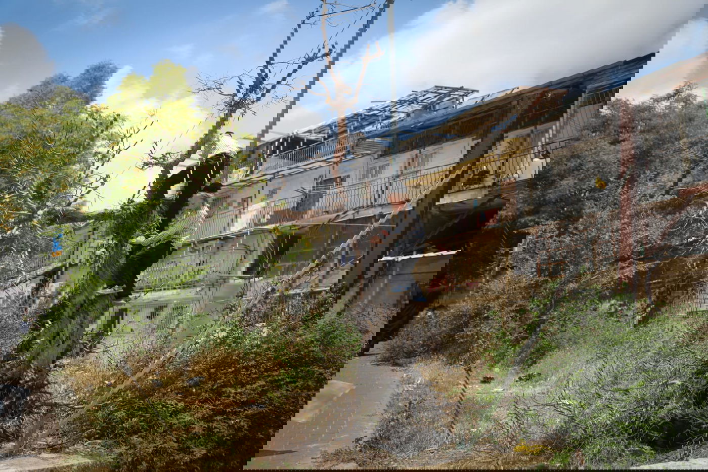 תיעוד ססגוני: הירושלמים מצטיידים בפרחים