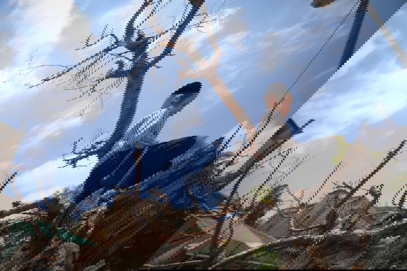 תיעוד ססגוני: הירושלמים מצטיידים בפרחים