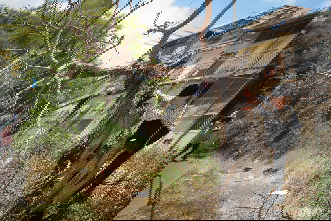 תיעוד ססגוני: הירושלמים מצטיידים בפרחים