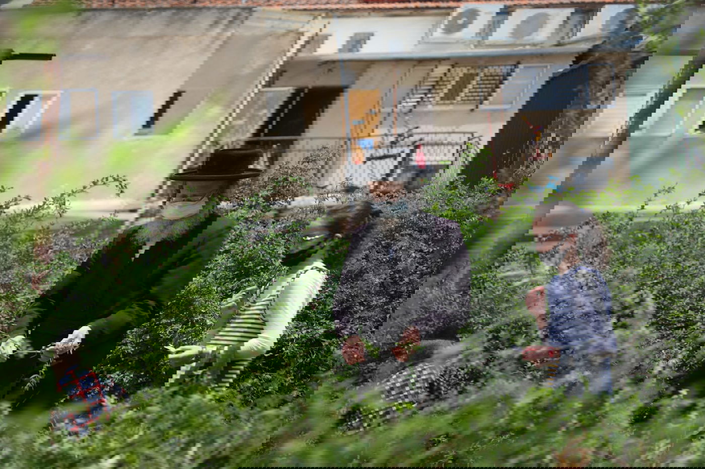 תיעוד ססגוני: הירושלמים מצטיידים בפרחים