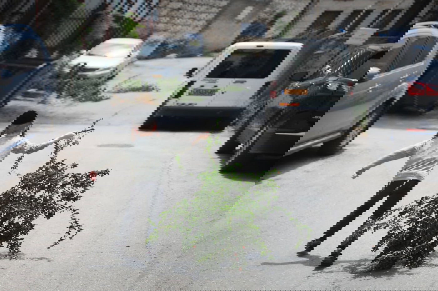 תיעוד ססגוני: הירושלמים מצטיידים בפרחים