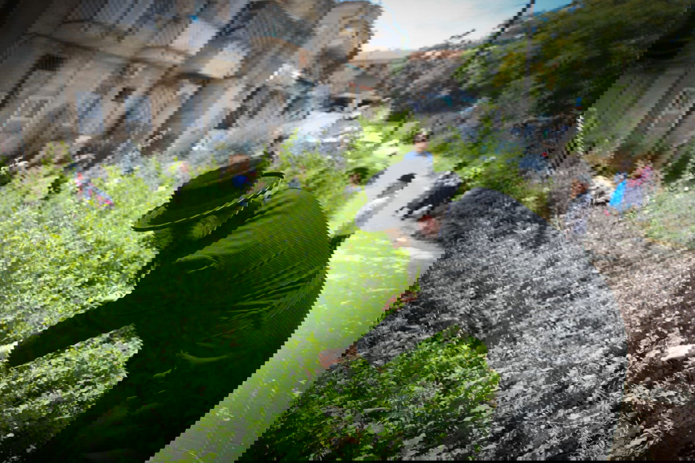 תיעוד ססגוני: הירושלמים מצטיידים בפרחים