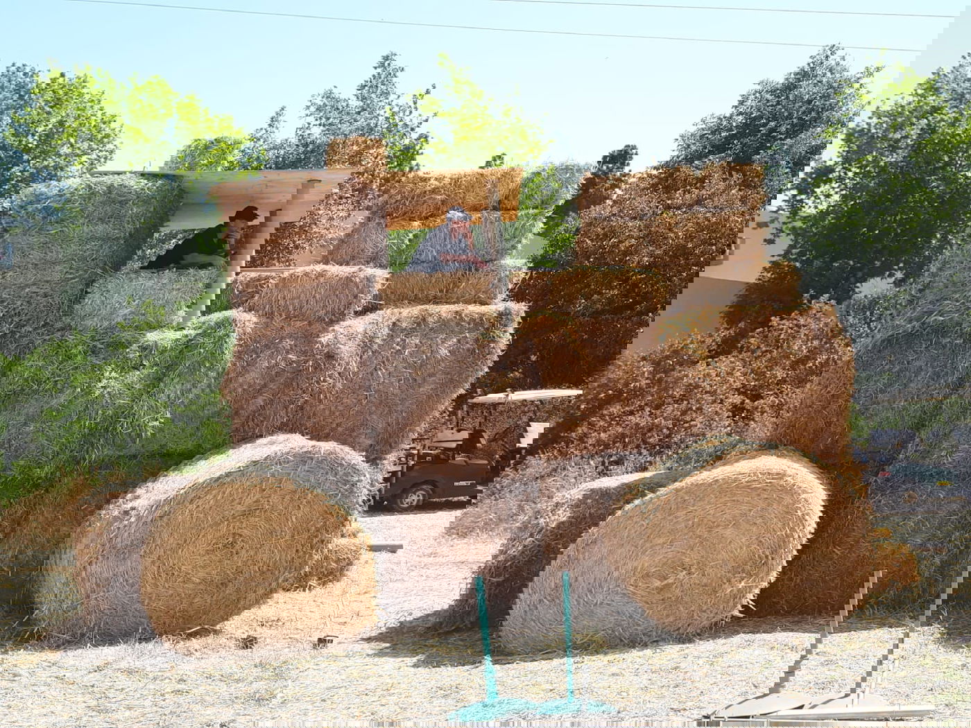 התחזית לשבועות: טמפרטורות נמוכות מהרגיל לעונה