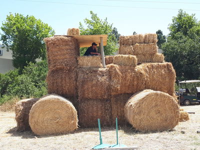 התחזית לשבועות: טמפרטורות נמוכות מהרגיל לעונה