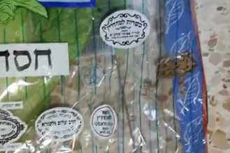 הלקוח נדהם: צפרדע באריזת החסה הכשרה