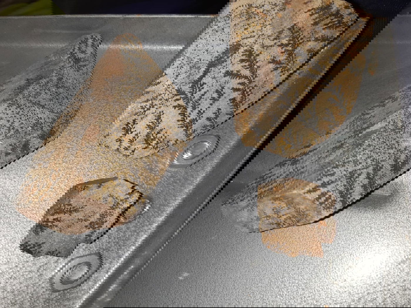 האם 'אבני הסנה' הם ראיה למעמד הר סיני?