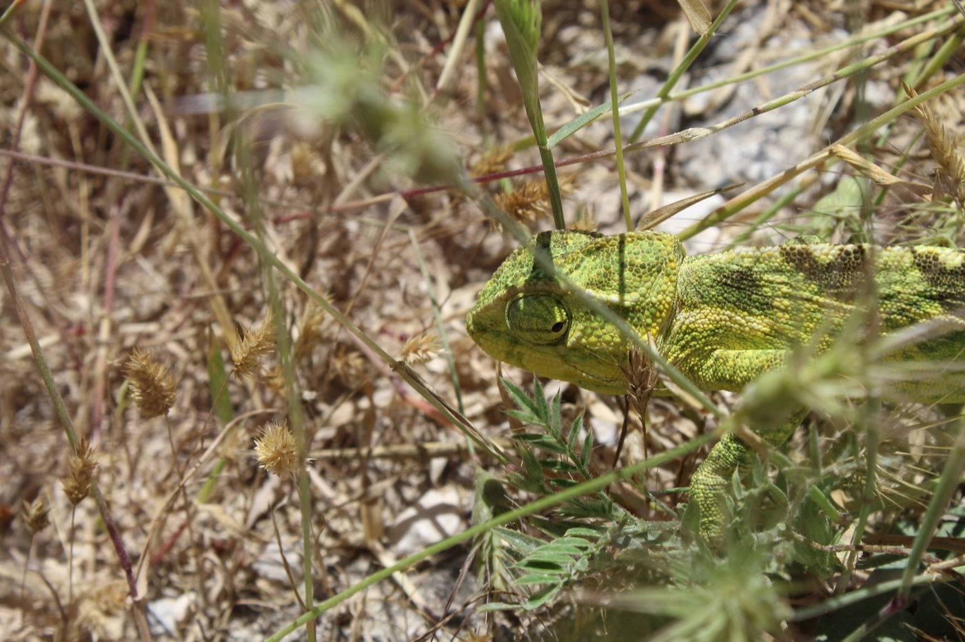 מסגד או מעיין? האתר המופלא בעמק איילון