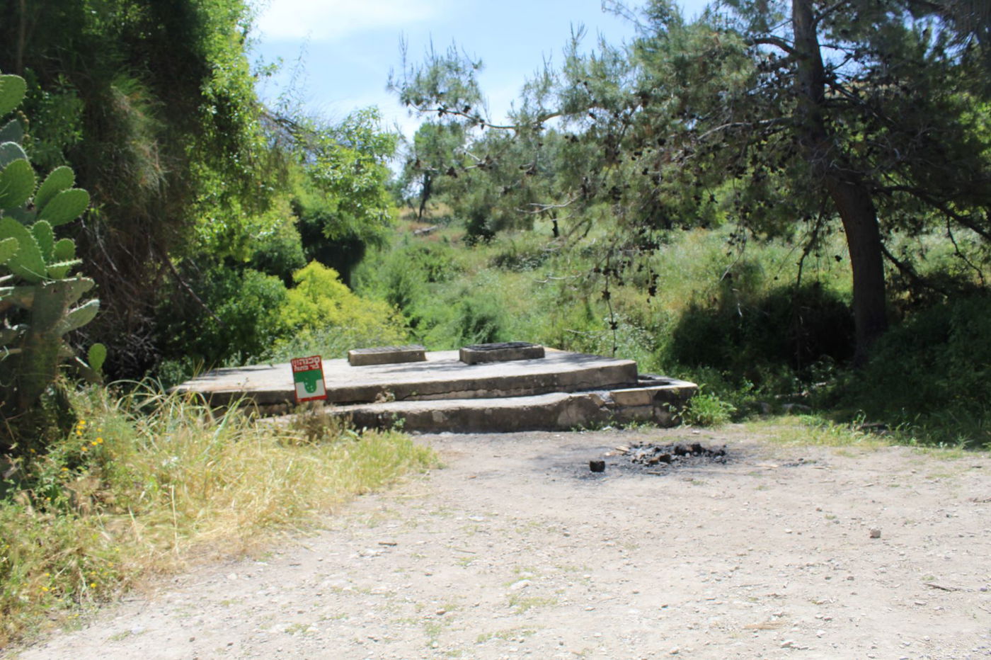 מסגד או מעיין? האתר המופלא בעמק איילון