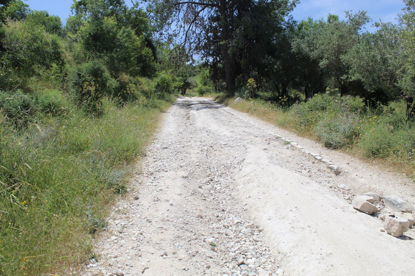 מסגד או מעיין? האתר המופלא בעמק איילון