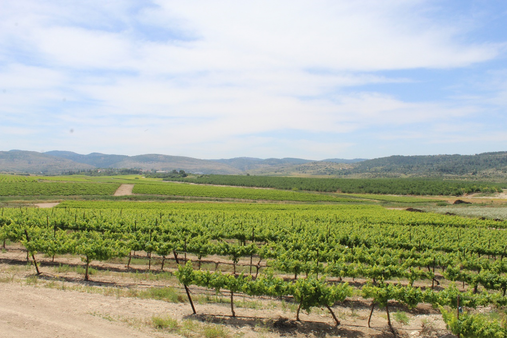 מסגד או מעיין? האתר המופלא בעמק איילון