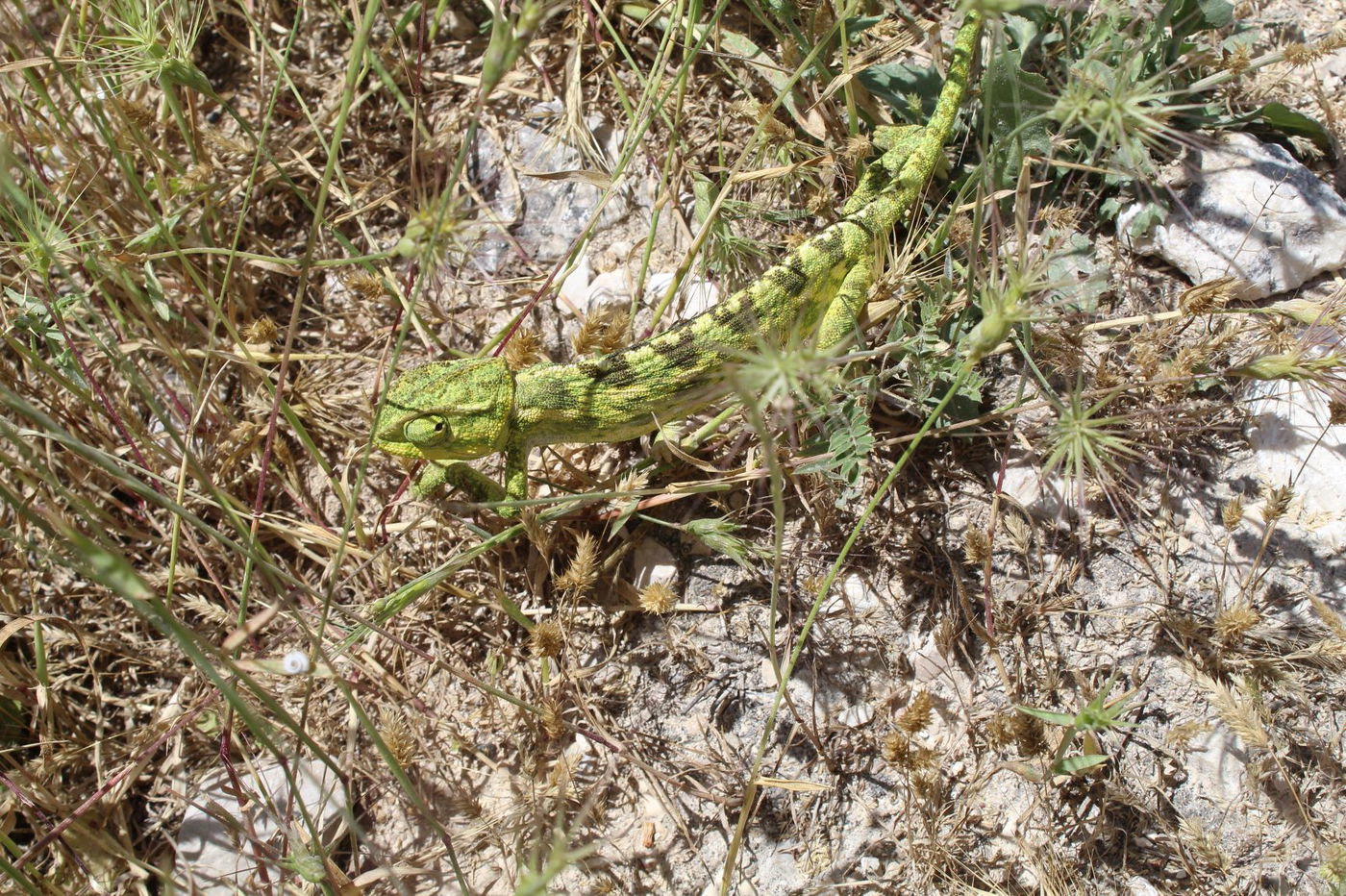 מסגד או מעיין? האתר המופלא בעמק איילון