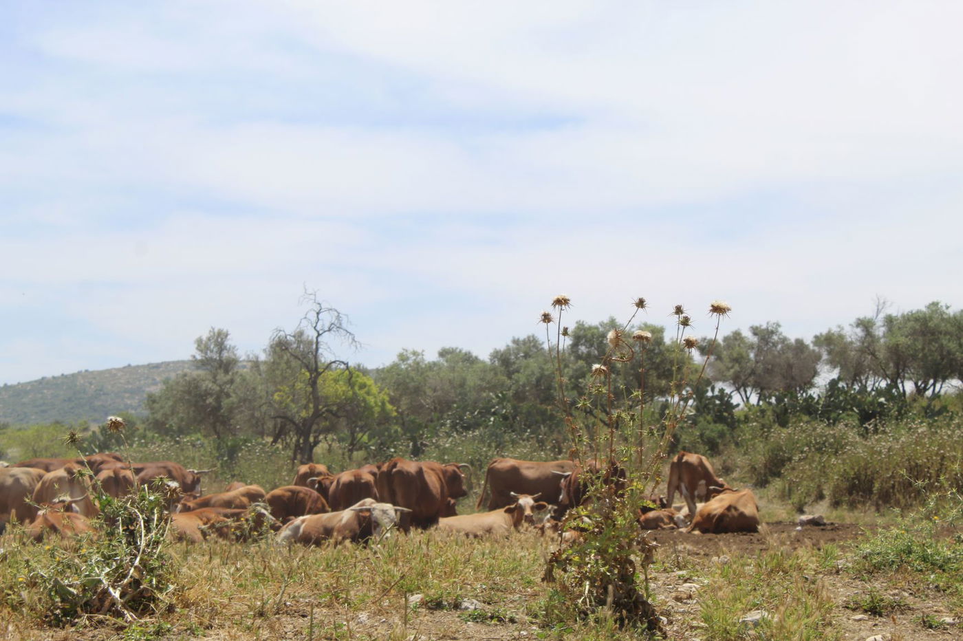 מסגד או מעיין? האתר המופלא בעמק איילון