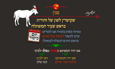 הדף היומי: מסכת שבת, דף פ"ו • סיכום והמחשה