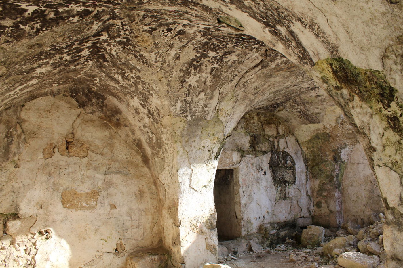 "המעיין הצנוע"; שבעה מעיינות - מדהימים