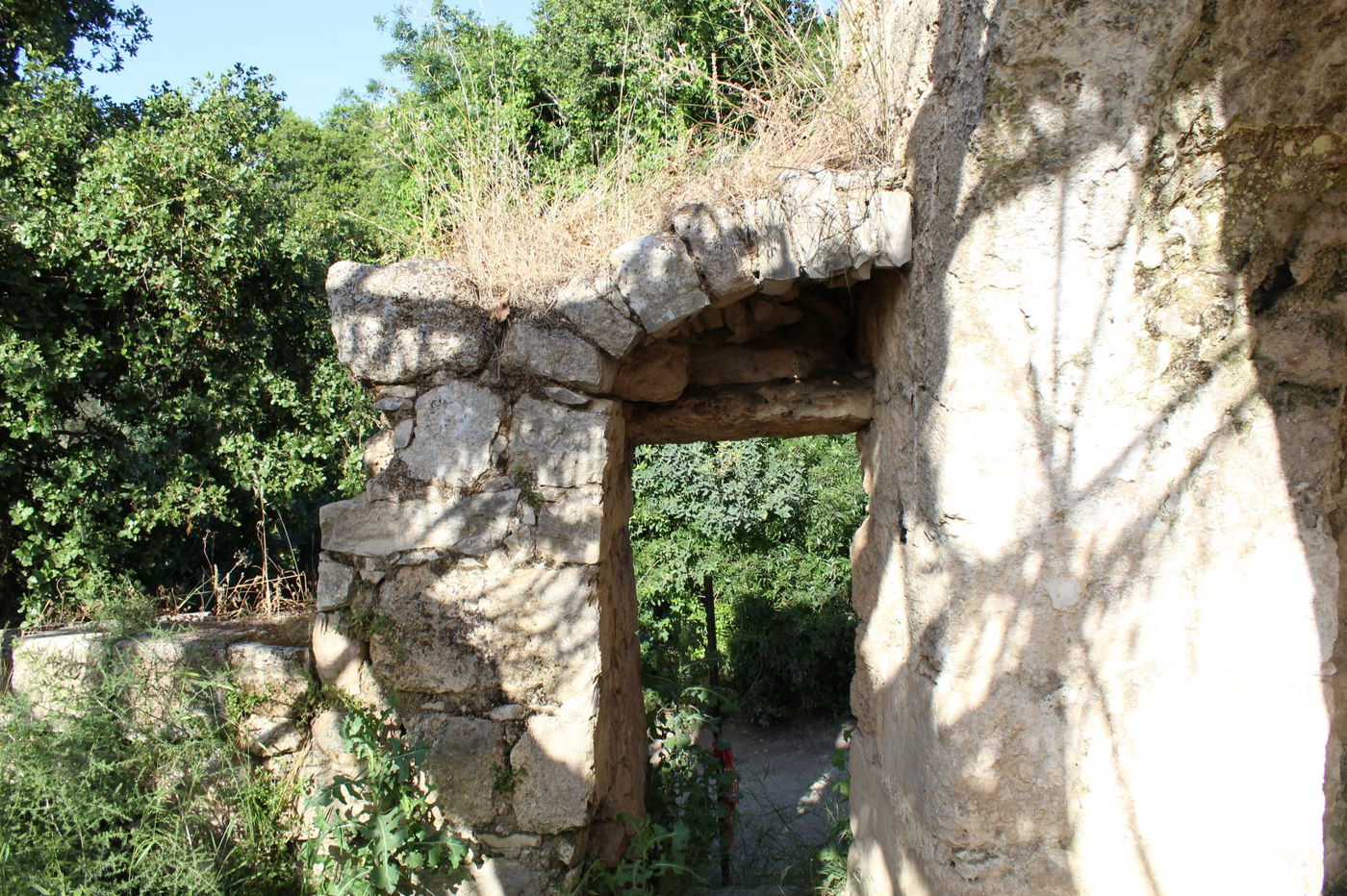 "המעיין הצנוע"; שבעה מעיינות - מדהימים