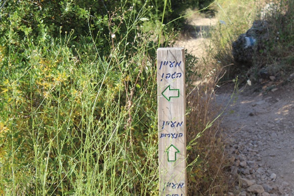 "המעיין הצנוע"; שבעה מעיינות - מדהימים