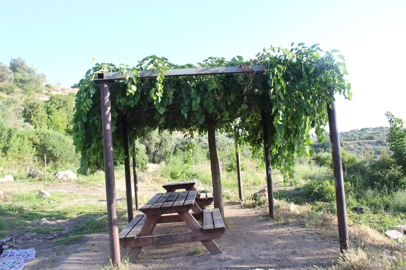"המעיין הצנוע"; שבעה מעיינות - מדהימים