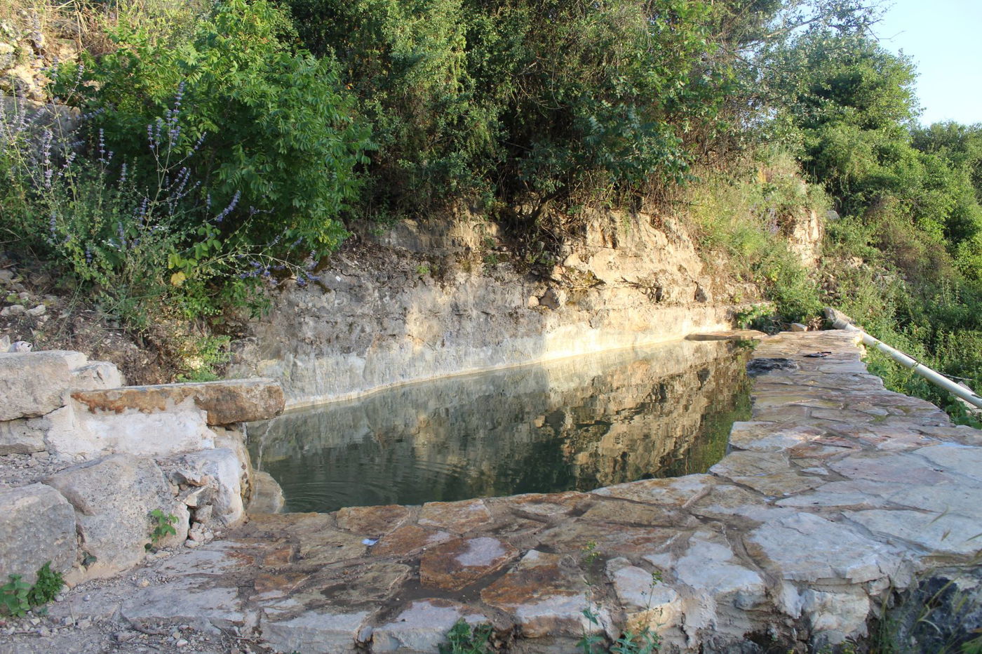 "המעיין הצנוע"; שבעה מעיינות - מדהימים
