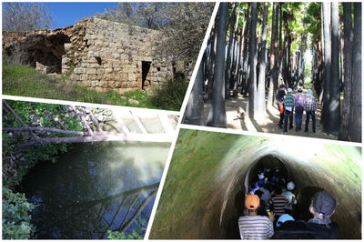 חוּרבַת חָנוֹת; מעיינות, מערה וחורשה עם דיון הלכתי