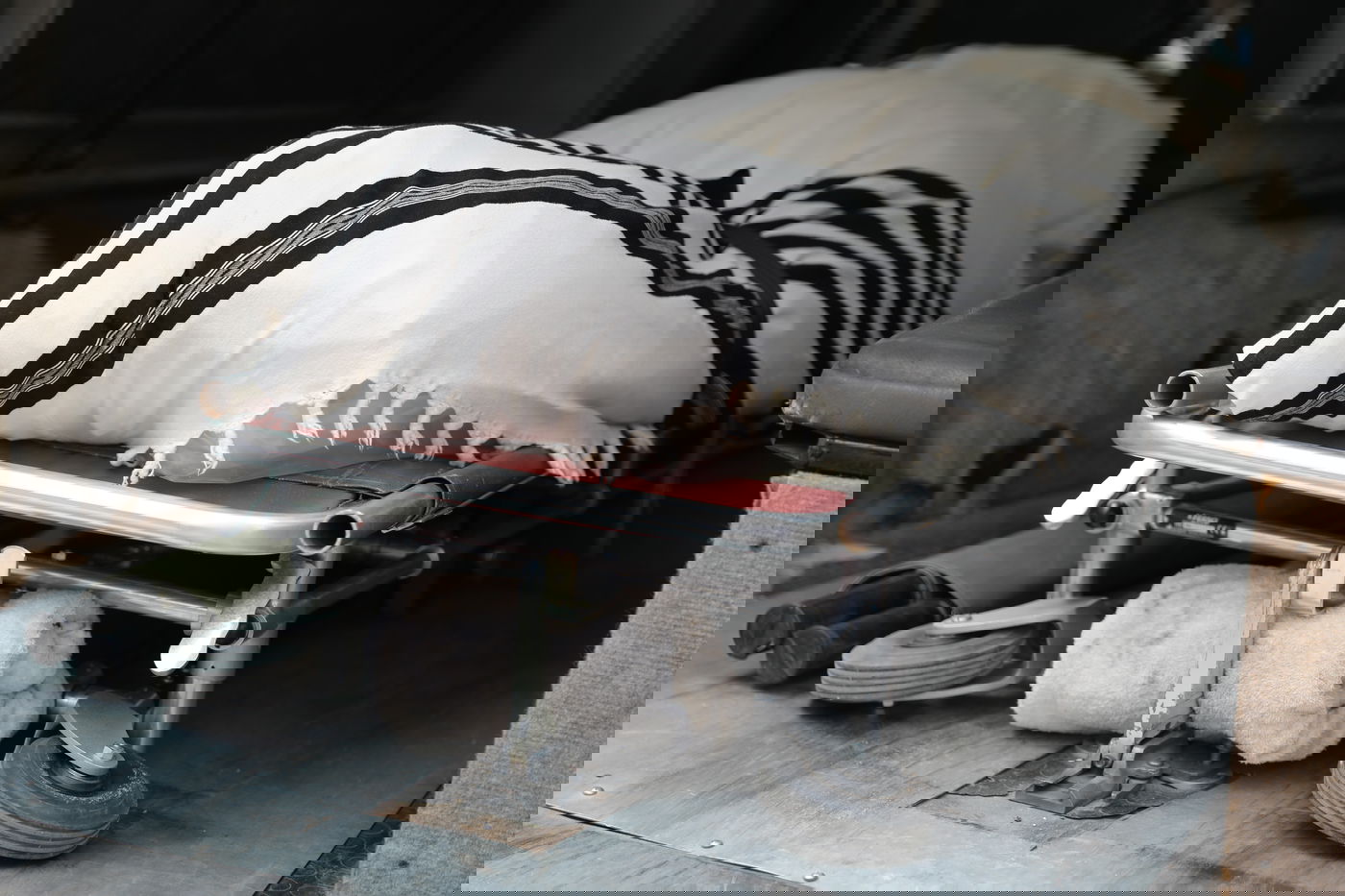 הספד על הרב עוזר דרורי: 'הפריע לו שנשים טיפלו בו כשהיה מונשם'