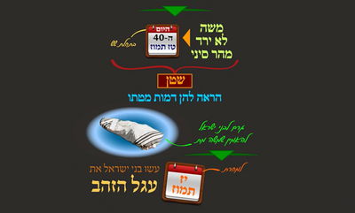 הדף היומי: מסכת שבת, דף פ"ט • סיכום והמחשה