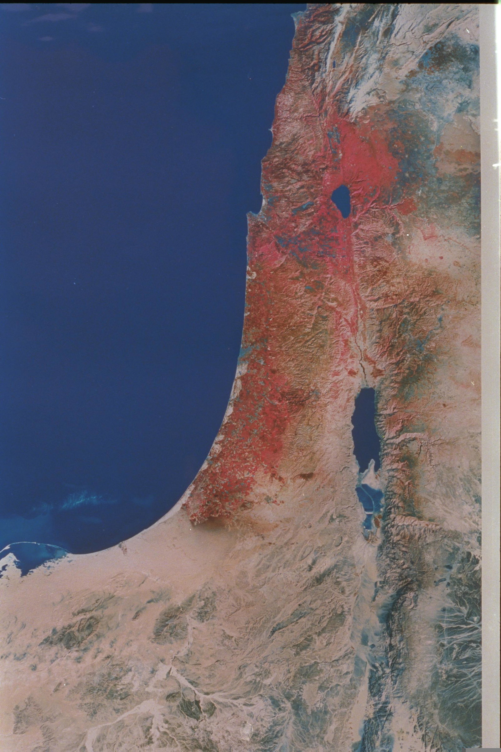 ארץ ישראל ומדינת ישראל: ההבדלים המהותיים בין שני המושגים | כיכר השבת