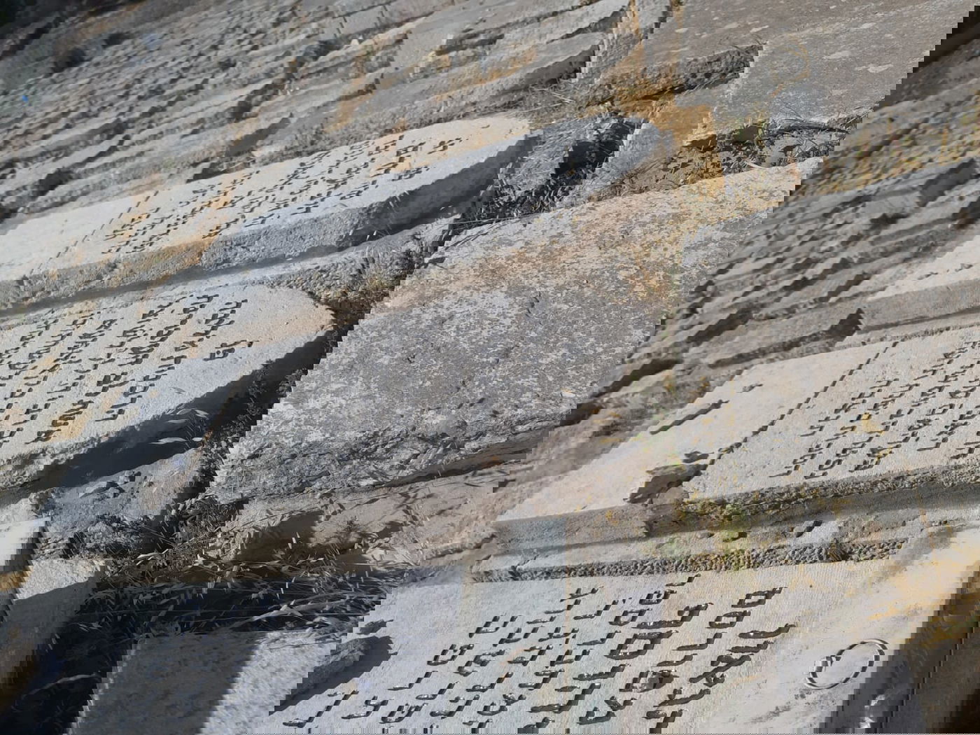 הרב שקרא ליישוב הארץ למרות התנגדותו לציונות