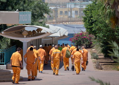 אילוסטרציה