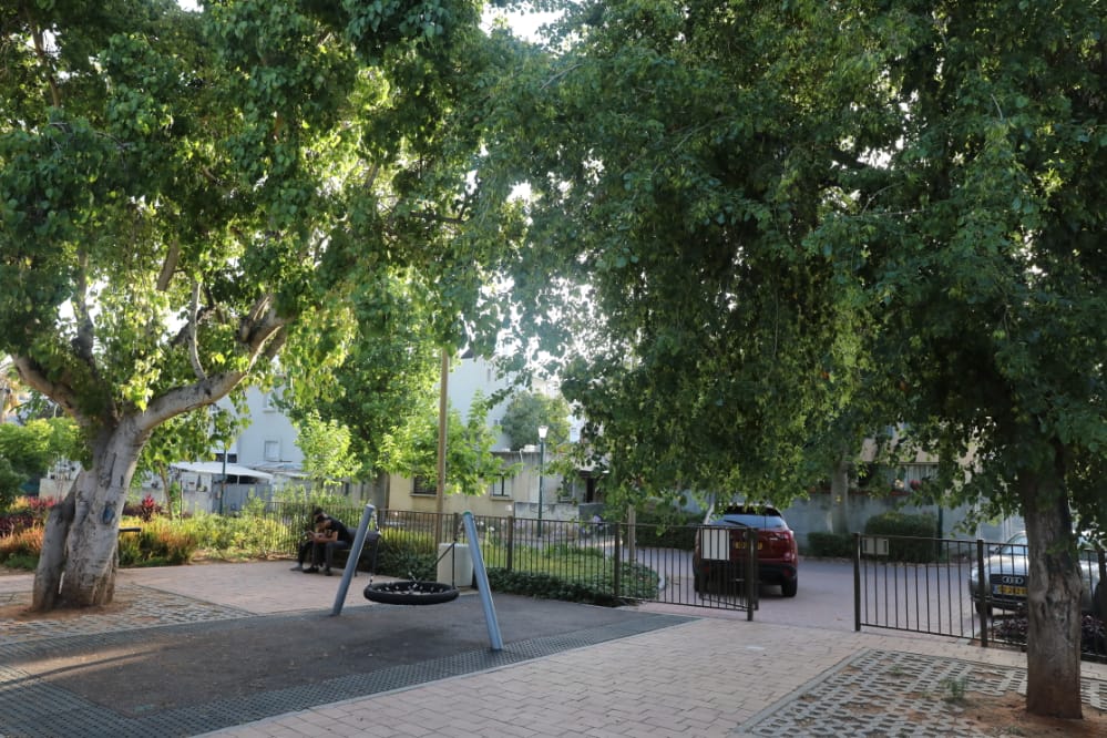 סמוך לגשר המפורסם • צפו בגלריה הקיצית