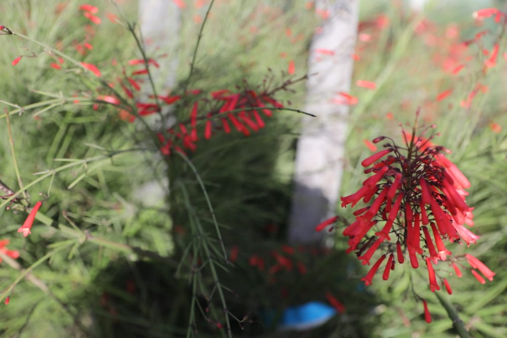 סמוך לגשר המפורסם • צפו בגלריה הקיצית