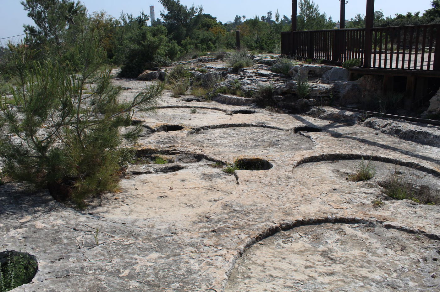 הקבר המסתורי החצוב בסלע - ותעלומת השלדים
